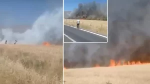 Ekili arazide yangın; 150 dönümdeki buğday yandı