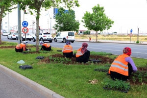 Refüj ve kavşaklar çiçeklerle süslendi