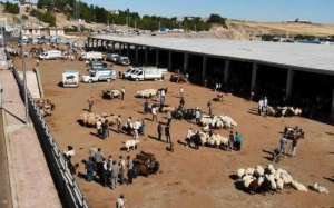 Diyarbakır’da kurban satış ve kesim yerleri belirlendi