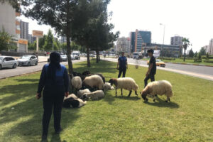 Zabıta bayram boyunca denetimdeydi