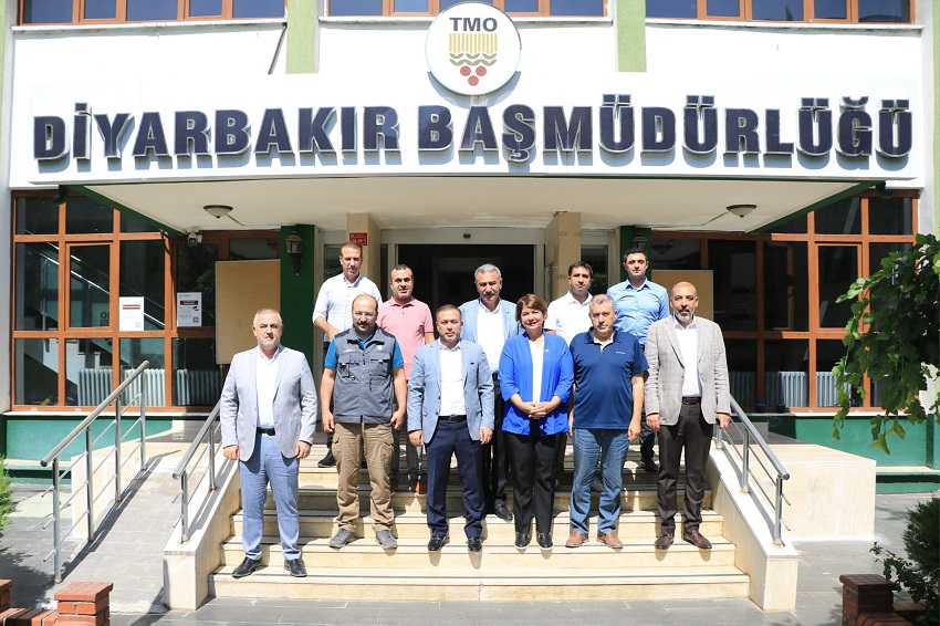 550 BİN TON BUĞDAY ALIMI GERÇEKLEŞTİ