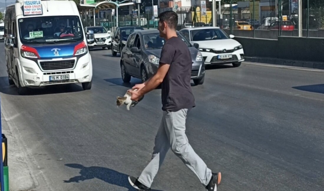 Bursa'da trafiğin ortasında mahsur