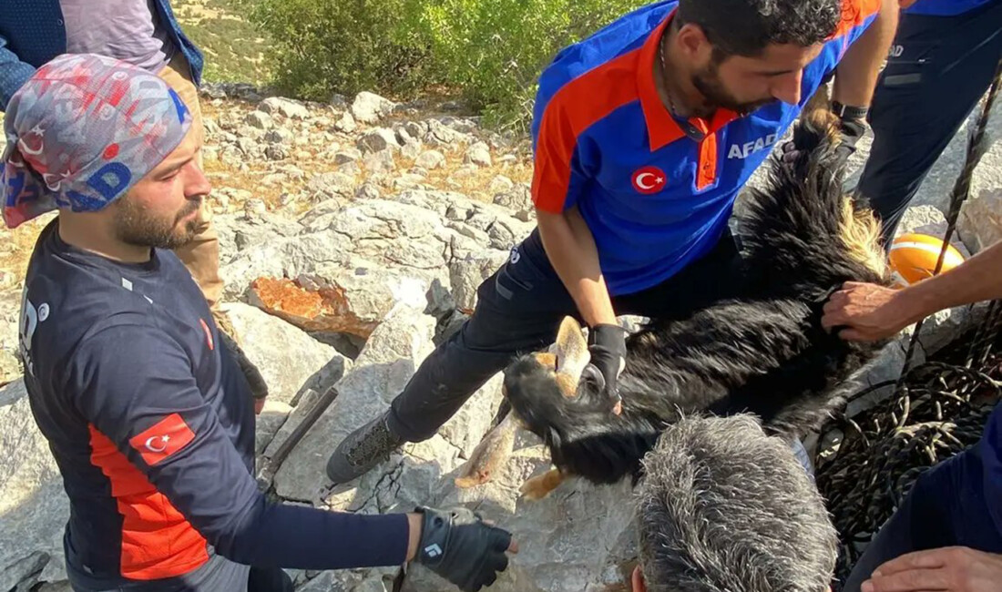 Diyarbakır'ın Lice ilçesinde kayalıkların