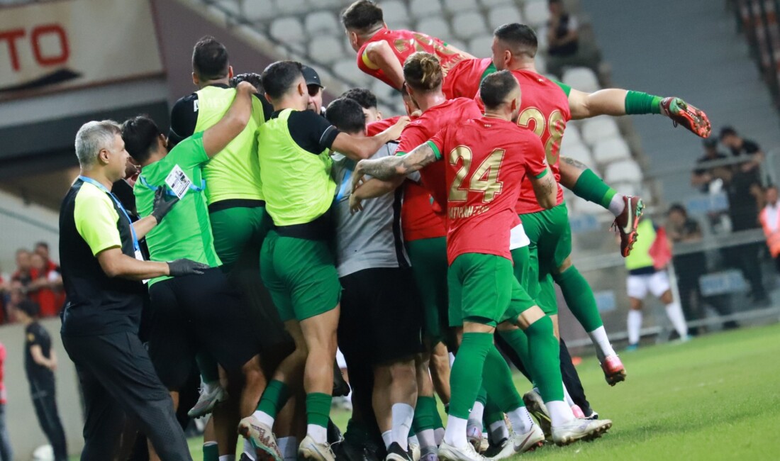 Diyarbakır temsilcisi Amedspor, ligin