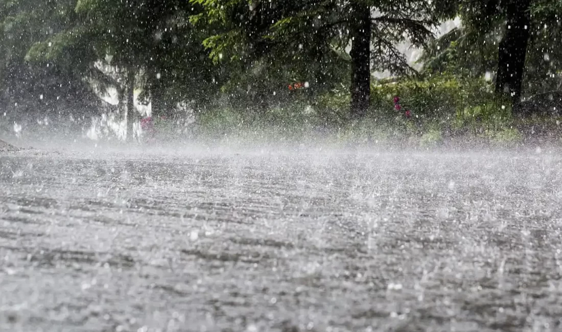 Meteoroloji Genel Müdürlüğü, iç