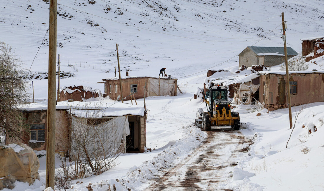 Van Büyükşehir Belediyesi, kentte