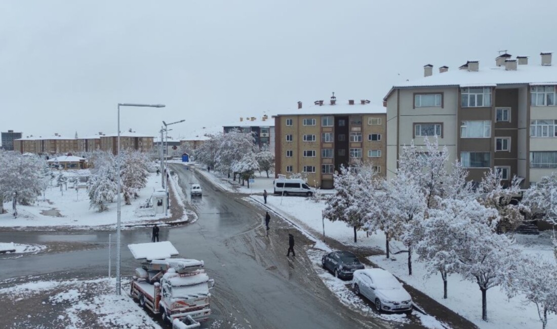 Bitlis merkez, ilçe ve