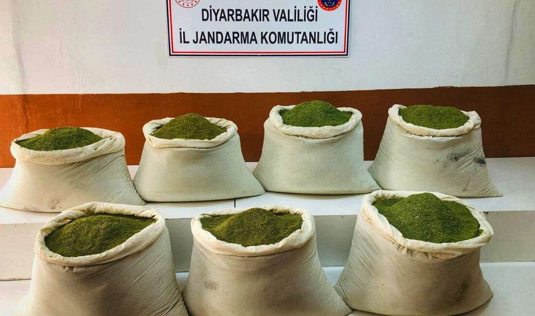 Diyarbakır'ın Lice ilçesinde gerçekleştirilen