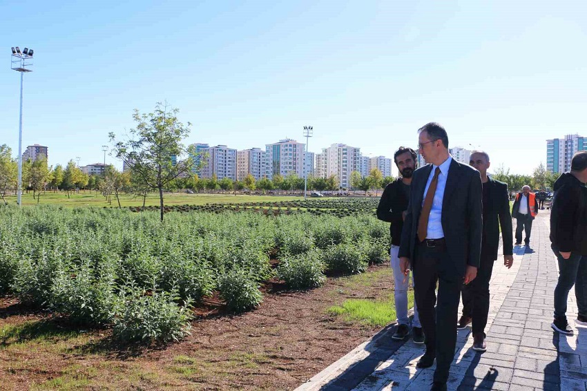 Diyarbakır’da Tıbbi Aromatik Bitki Bahçesi şehre güzel koku yayacak