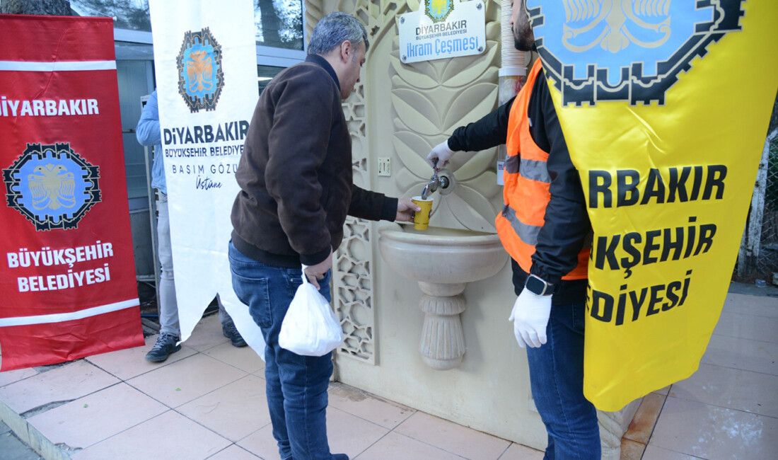 Diyarbakır Büyükşehir Belediyesi, kentin