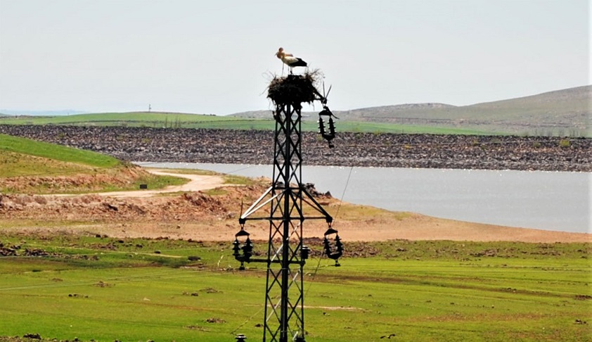 Dicle Elektrik, kışı Dicle