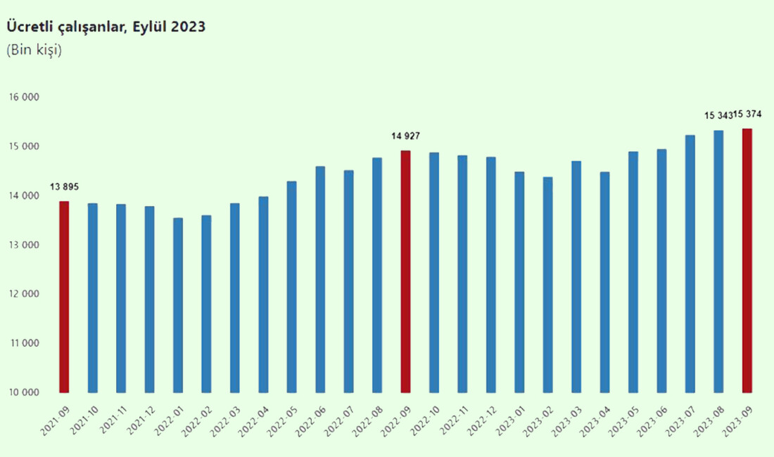 Türkiye İstatistik Kurumu (TÜİK),