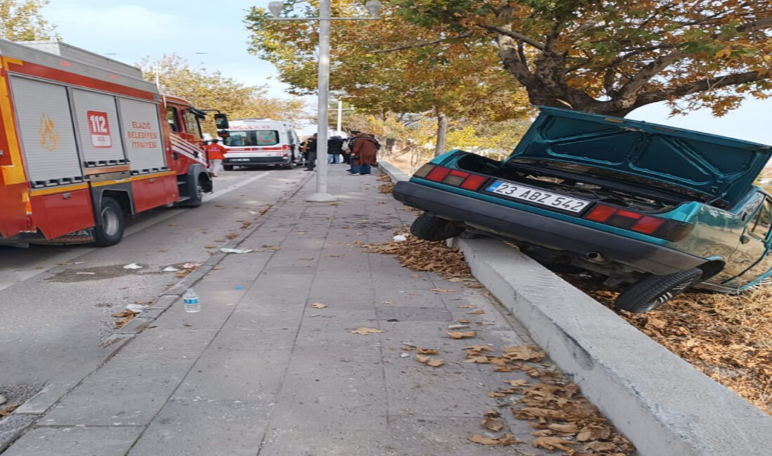 Elazığ'da kontrolünü kaybeden otomobilin,