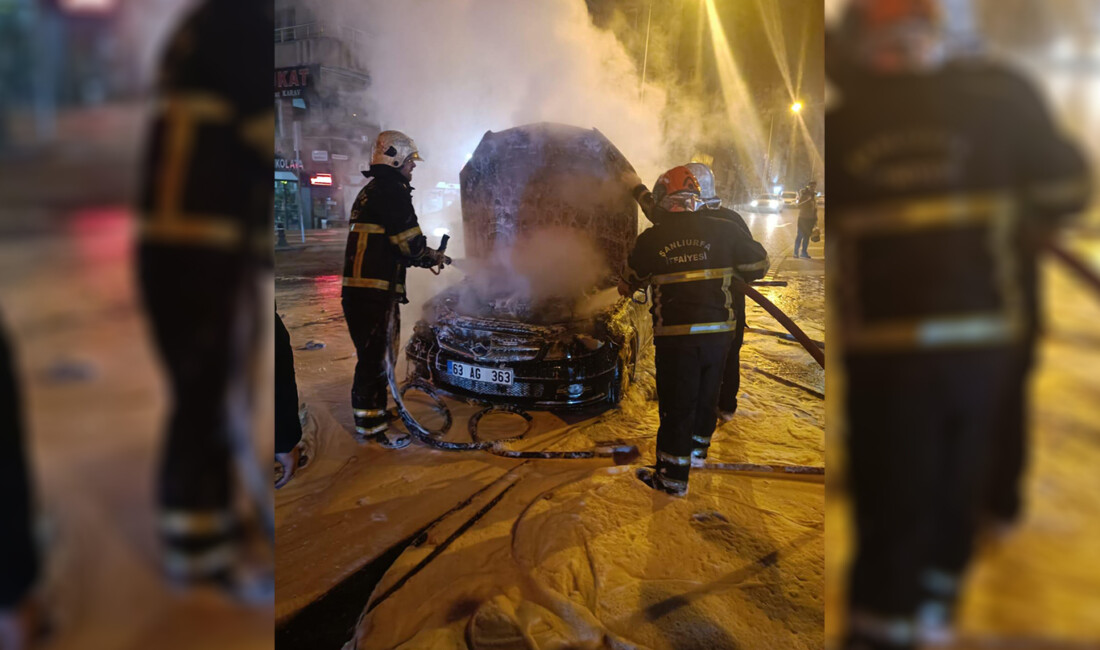 Şanlıurfa'nın Haliliye ilçesinde seyir