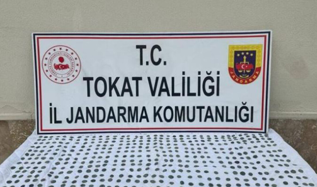 Tokat'ta, yapılan tarihi eser