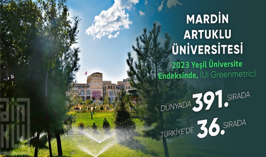 Mardin Artuklu Üniversitesi, dünyada