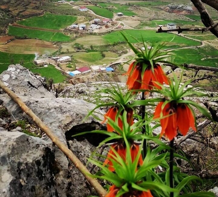 ÖZEL HABER ŞABAN YOLDAŞ Diyarbakır’ın