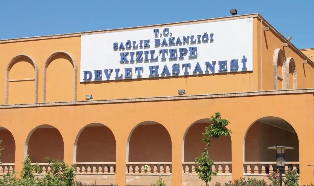 Mardin'de şarampole devrilen otomobildeki