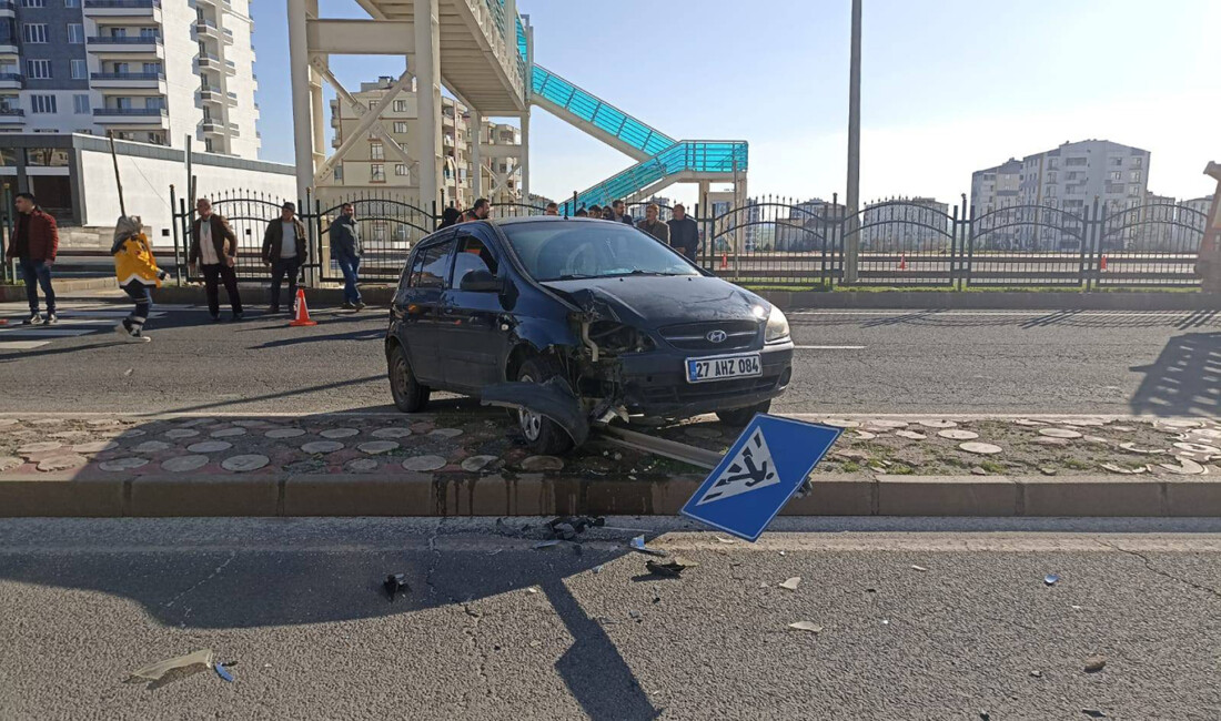 Diyarbakır-Şanlıurfa Kara yolunda sürücünün