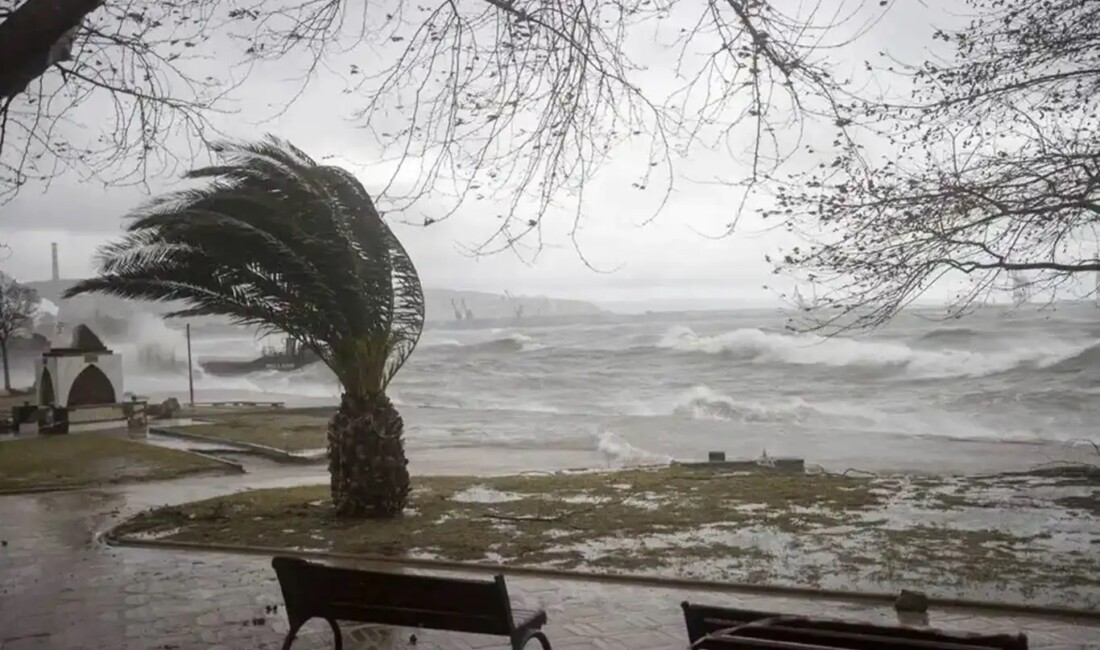 Meteoroloji Genel Müdürlüğü, Kuzey