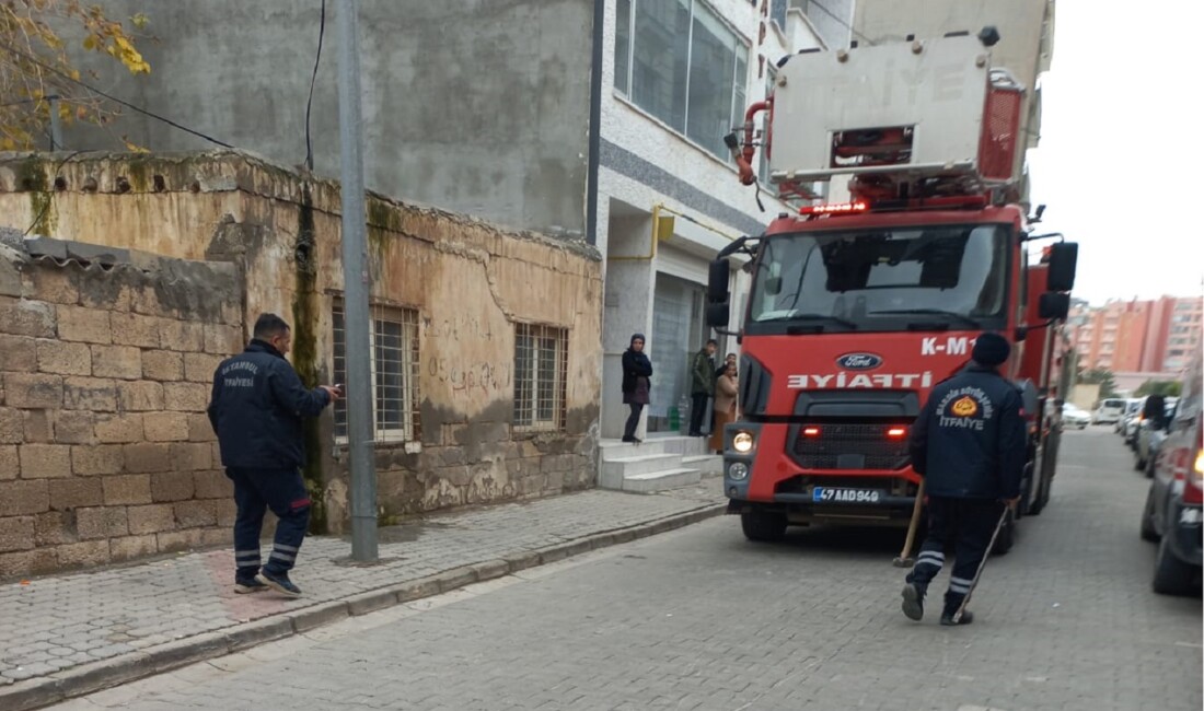 Mardin'in Kızıltepe ilçesinde 27