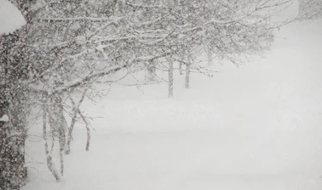 Meteoroloji Genel Müdürlüğü, kar