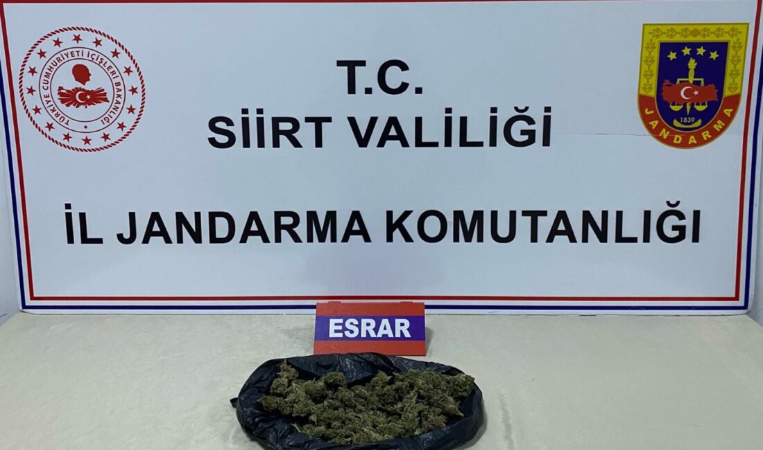 Siirt’te jandarma ekipleri, yol