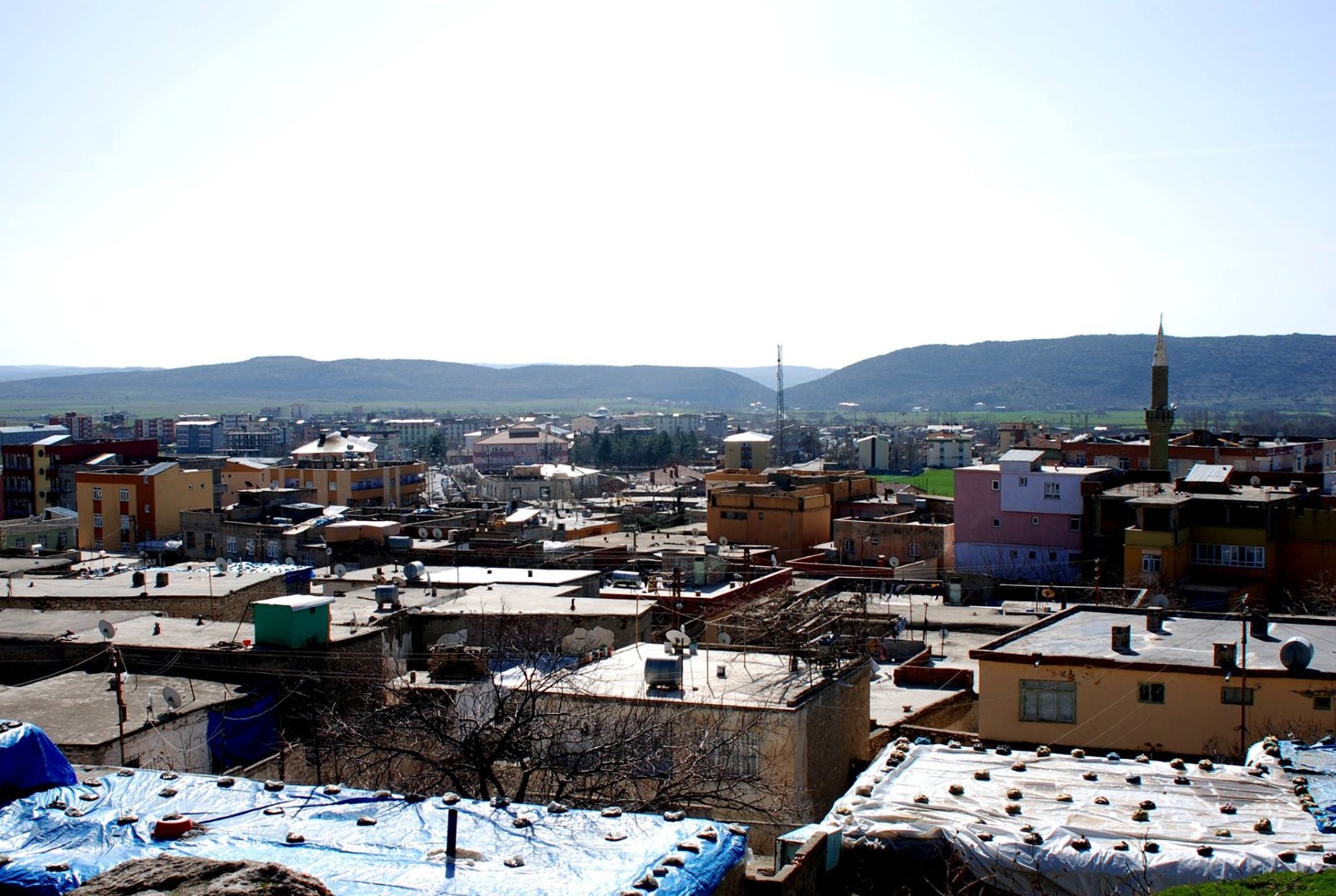 DİYARBAKIR İL GENELİNE GÖRE EVLİ ORANLARI BELLİ OLDU