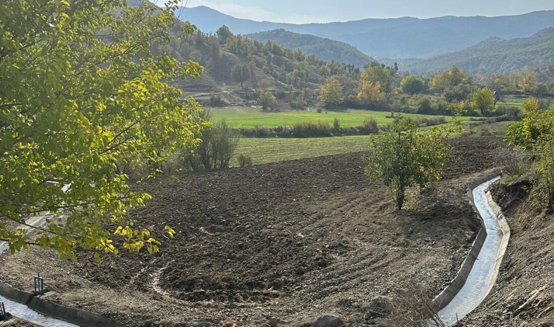 Diyarbakır Hani ilçesinde yağmaya