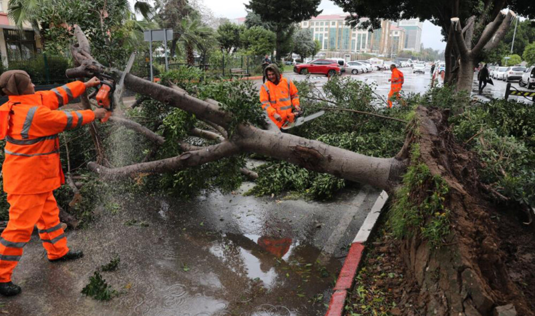 Meteoroloji Genel Müdürlüğü, Marmara'nın