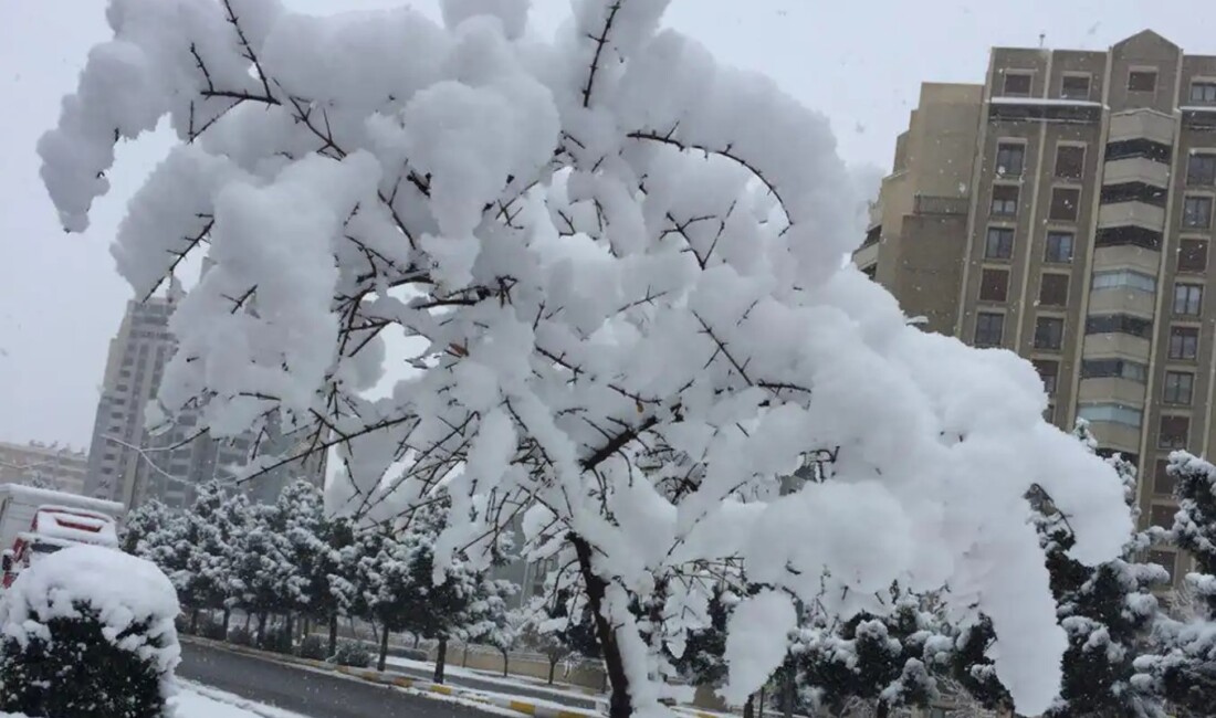 Meteoroloji, Trabzon, Rize ve