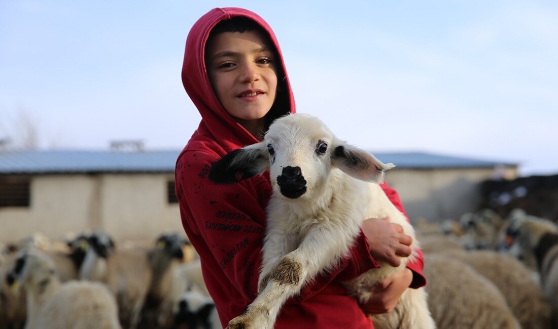 Diyarbakır'ın Bağlar ilçesi kırsalında