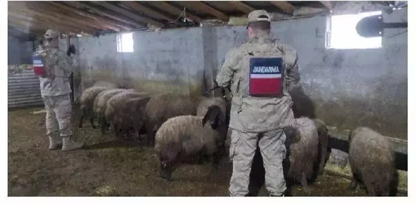 Jandarma, 2 hırsızlık şüphelisi ve 10 yıl kesinleşmiş hapis cezası bulunan şüpheliyi yakaladı