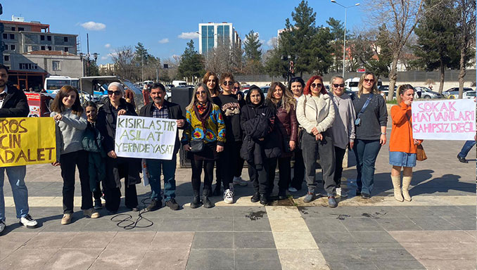 Diyarbakır Hayvanları Koruma Derneği,