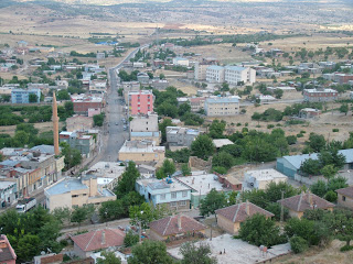 Dicle, taş devrinden de