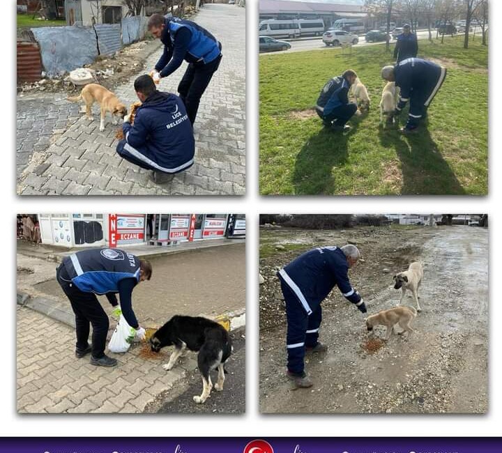 Diyarbakır'ın Lice İlçe Belediyesi