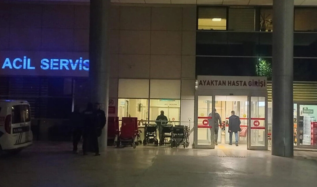 Sivas'ta bir otomobilin refüje