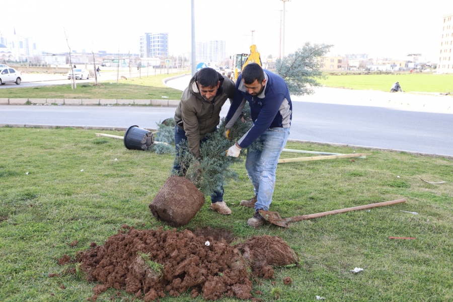 Diyarbakır Büyükşehir Belediyesi, daha