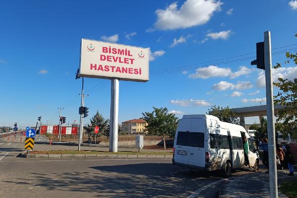 DİYARBAKIR’ın Bismil ilçesinde başıboş