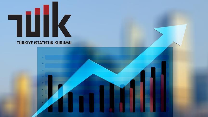 Türkiye İstatistik Kurumu (TÜİK)