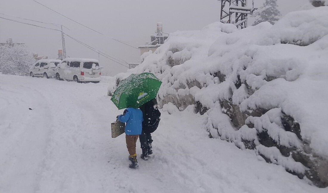 Şırnak'ın Beytüşşebap ilçesinde etkili