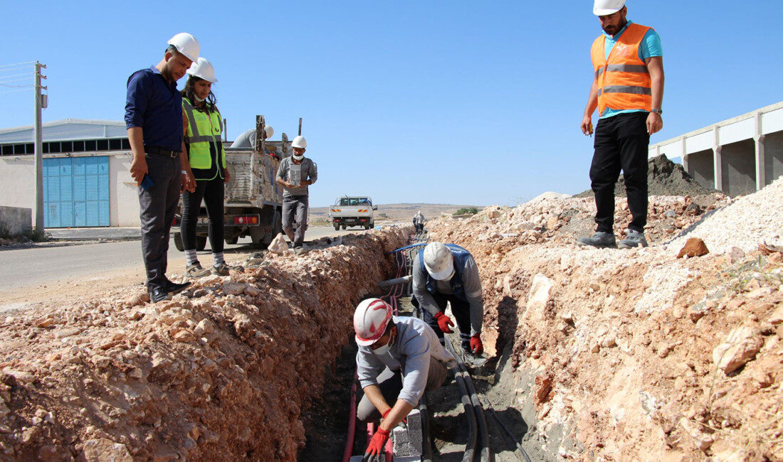 Dicle Elektrik, Şanlıurfa bölgesindeki