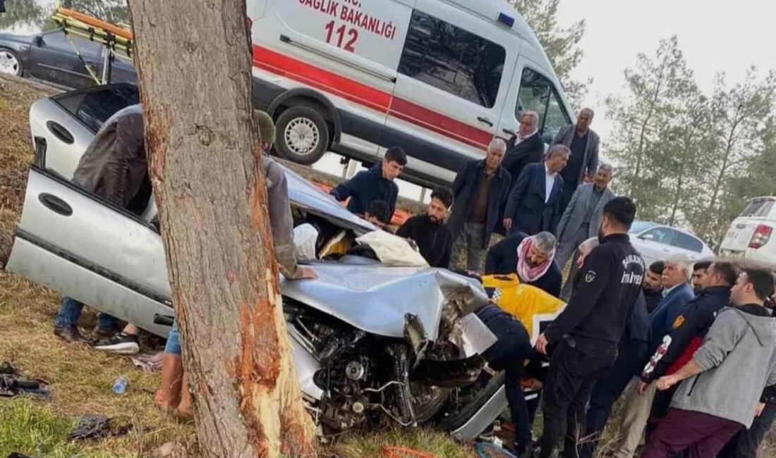 Şanlıurfa'da otomobiliyle ağaca çarparak