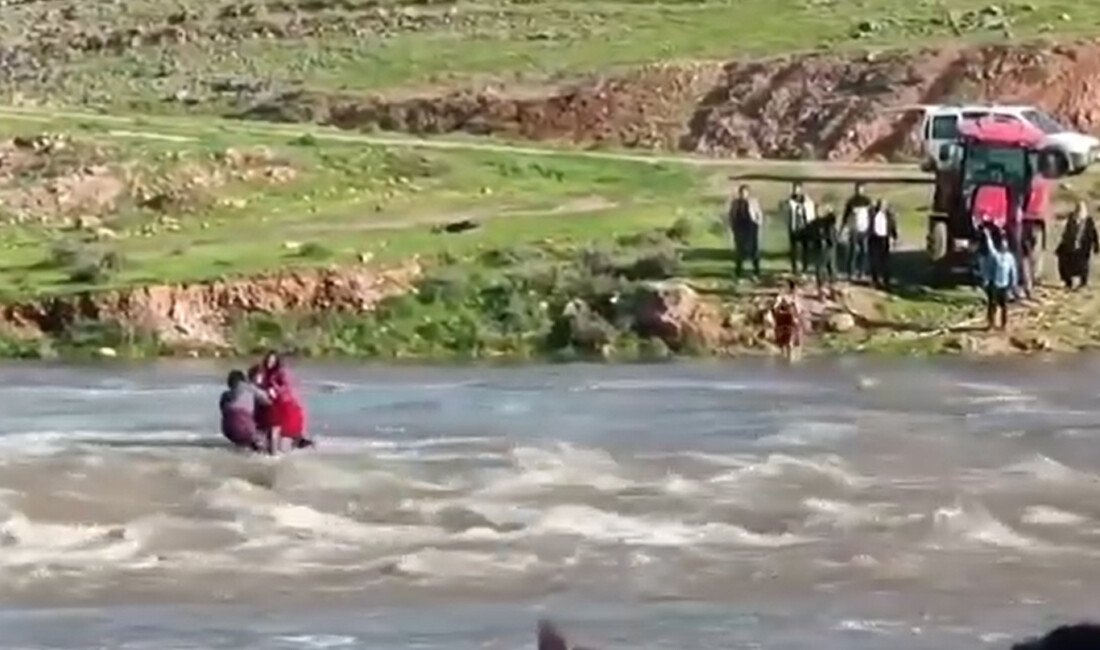 Şanlıurfa'nın Ceylanpınar ilçesinde dereden