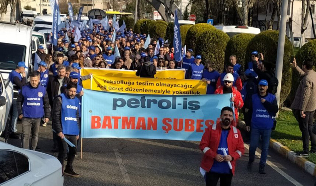 Batman'da TPAO'ya bağlı çok