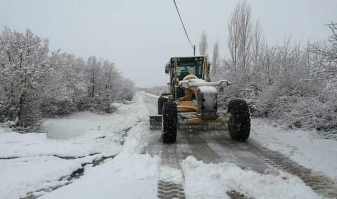 Van'da etkili olan kar