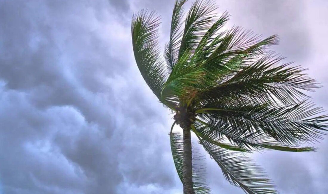 Meteoroloji Genel Müdürlüğü, rüzgarın