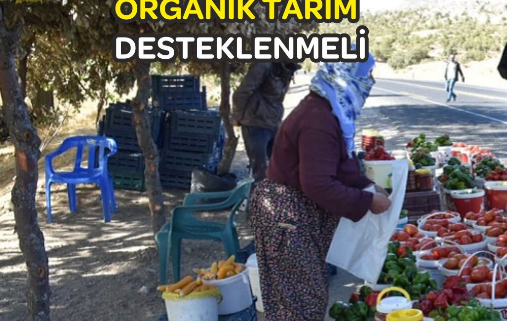 Hani'de çiftçilikle uğraşan vatandaş