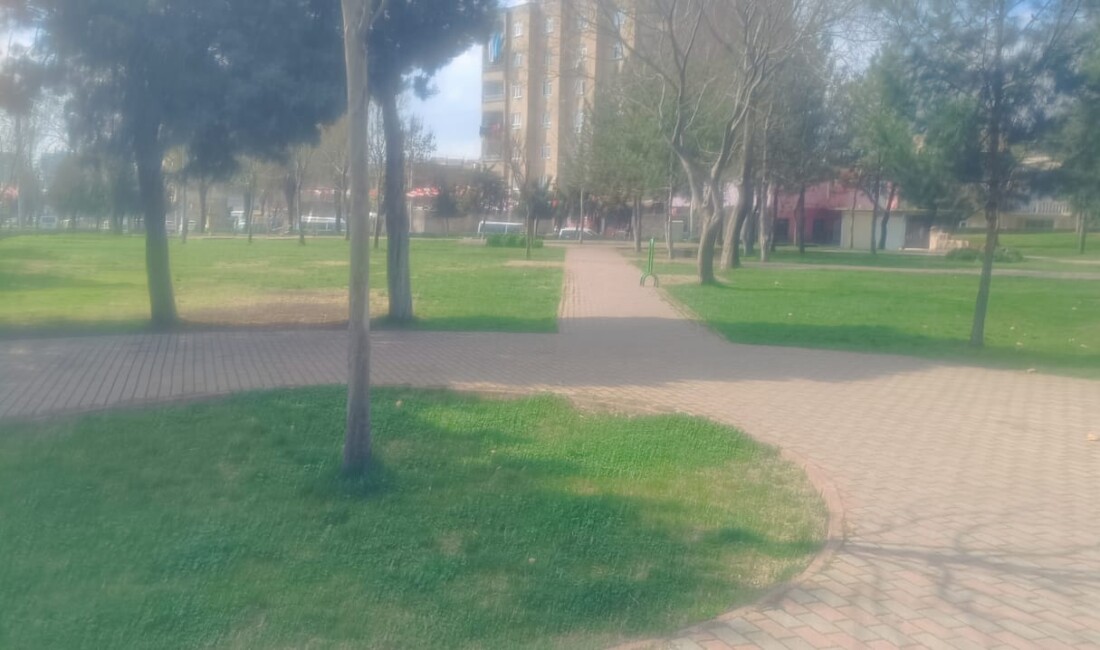 Diyarbakırlı Vatandaşlar park alanlarına