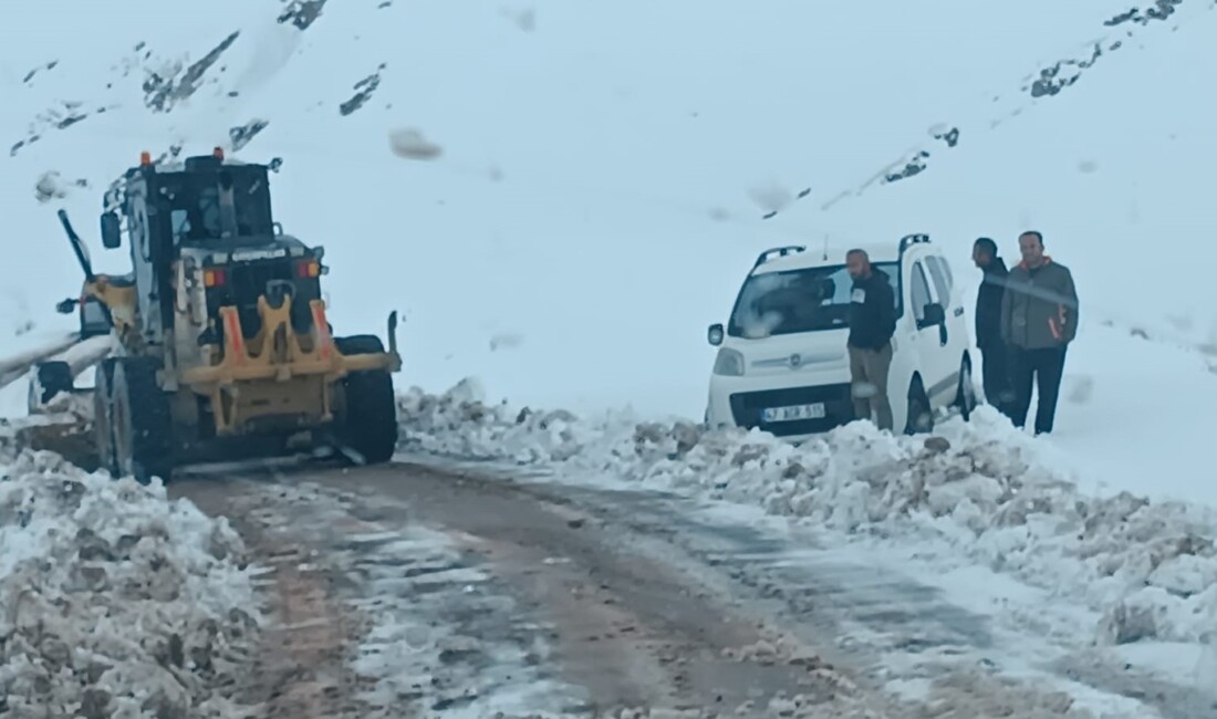 Siirt, Pervari ve Şirvan